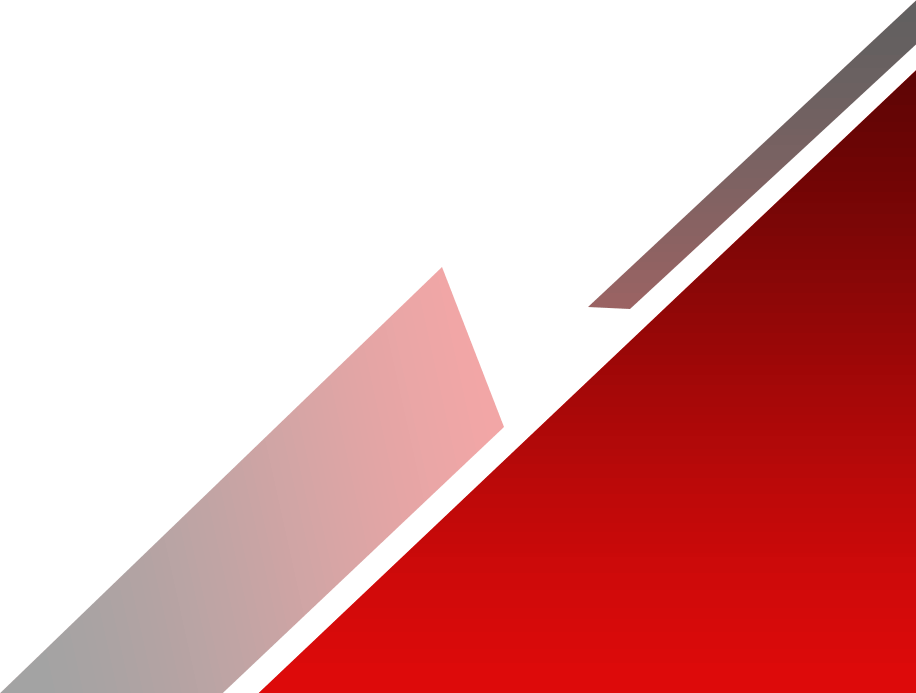 Swiss Protectors