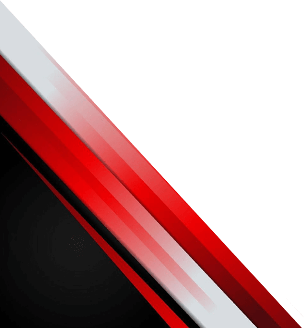 Swiss Protectors